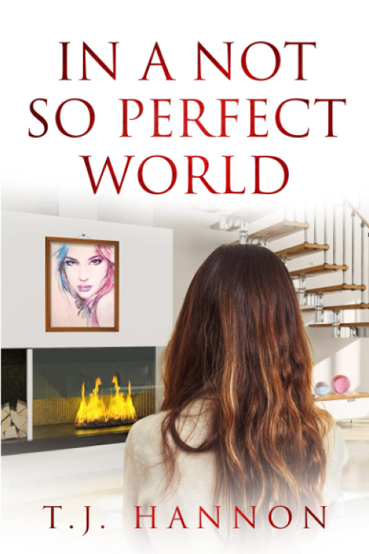 In a Not So Perfect World - Book Cover